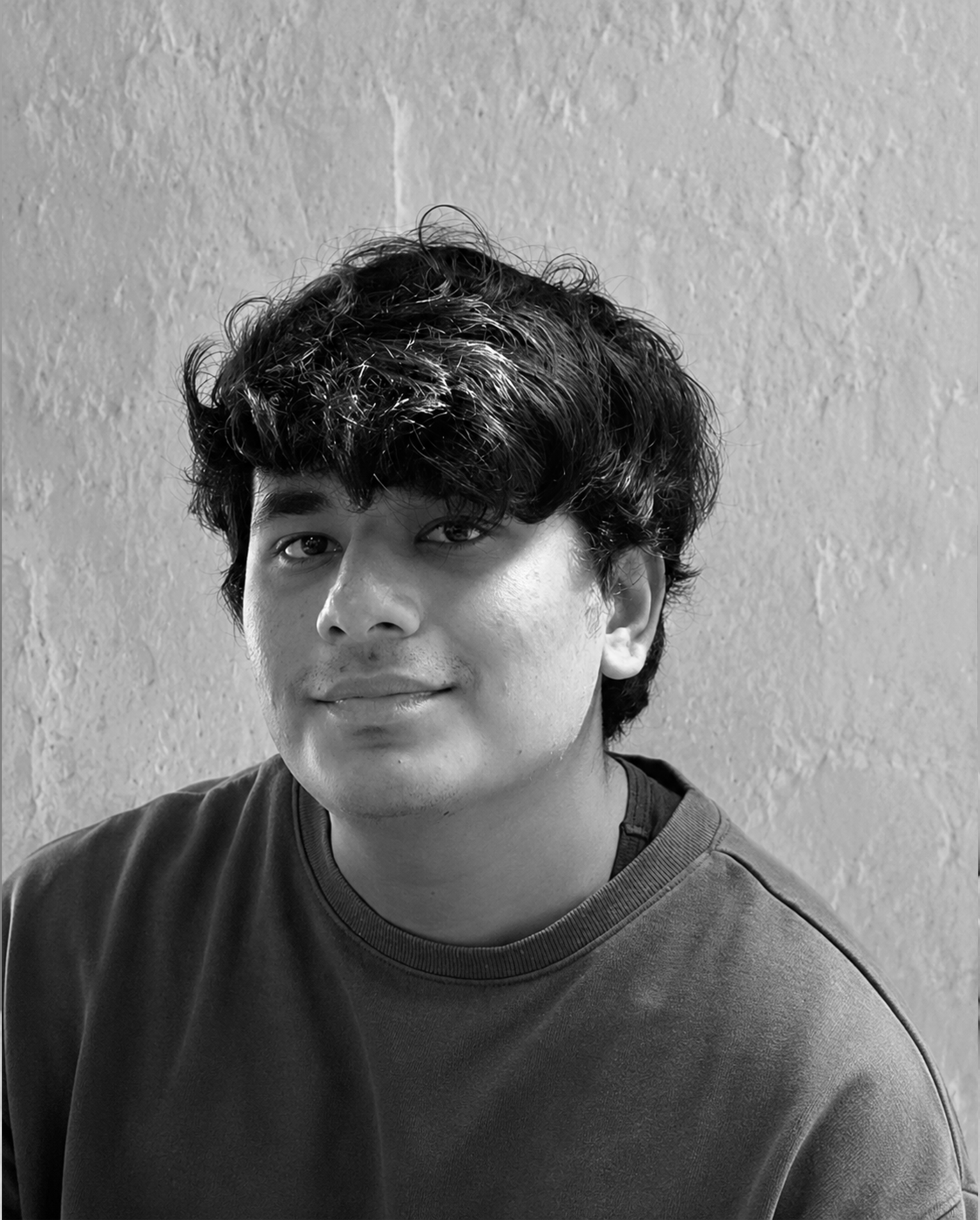 Ansh Taygi, Website designer
